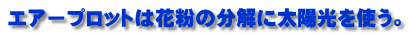 エアープロットは花粉の分解に太陽光を使う。 